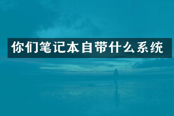 你们笔记本自带什么系统