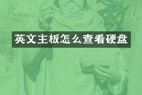 英文主板怎么查看硬盘