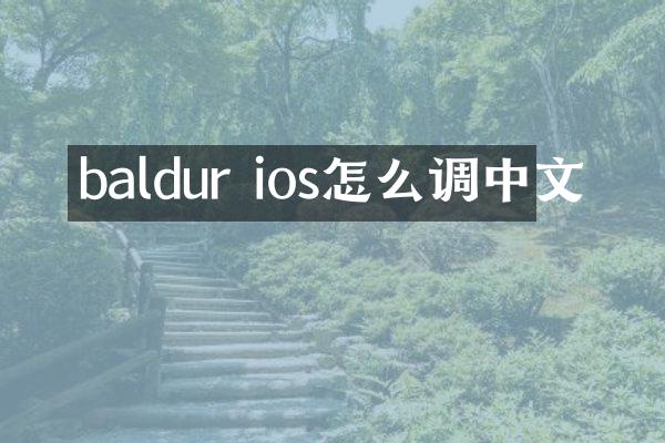 baldur ios怎么调中文