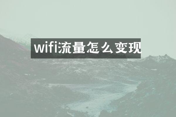wifi流量怎么变现