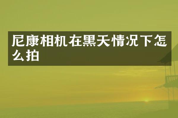 尼康相机在黑天情况下怎么拍