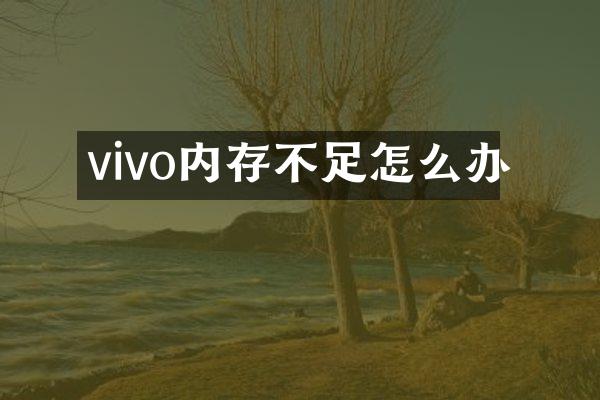 vivo内存不足怎么办