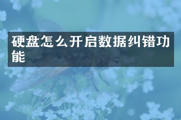 硬盘怎么开启数据纠错功能
