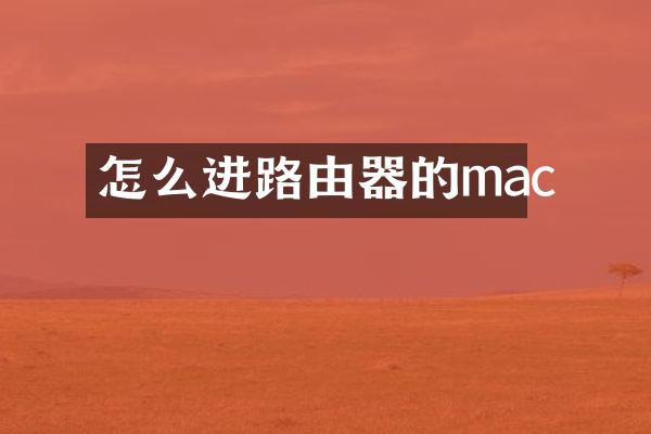 怎么进路由器的mac