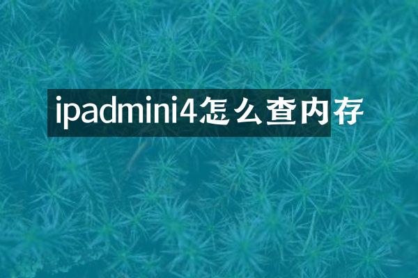 ipadmini4怎么查内存