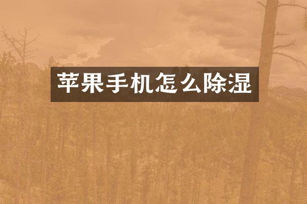 苹果手机怎么除湿