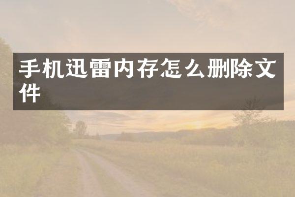手机迅雷内存怎么删除文件
