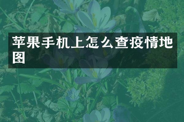 苹果手机上怎么查疫情地图