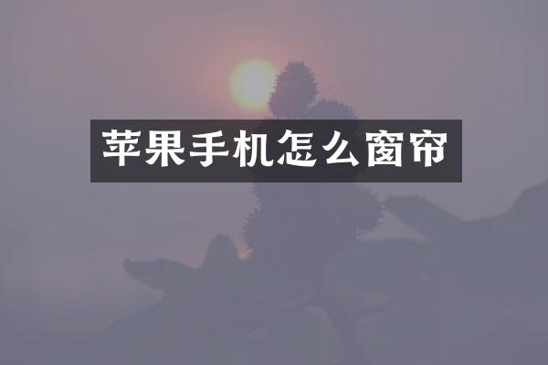 苹果手机怎么窗帘