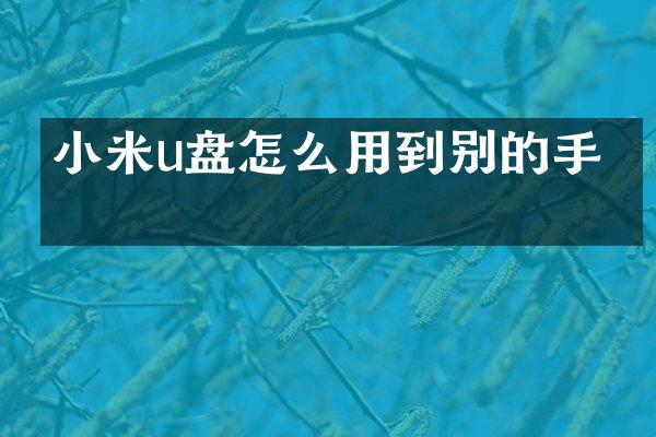 小米u盘怎么用到别的手机