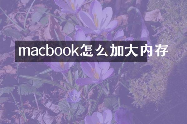 macbook怎么加大内存