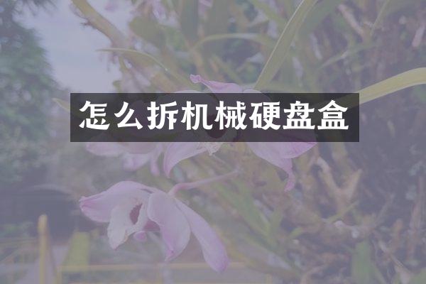 怎么拆机械硬盘盒
