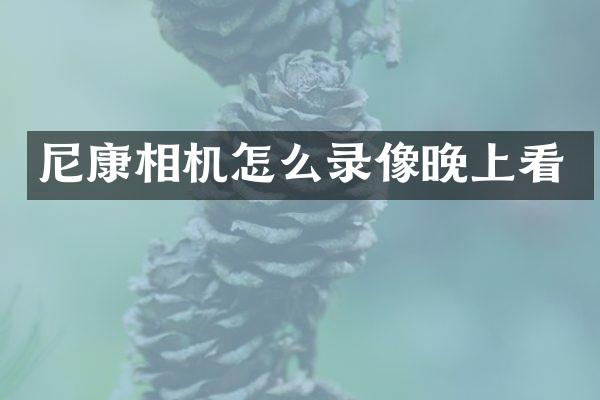 尼康相机怎么录像晚上看