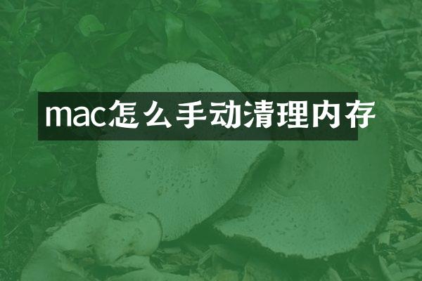 mac怎么手动清理内存