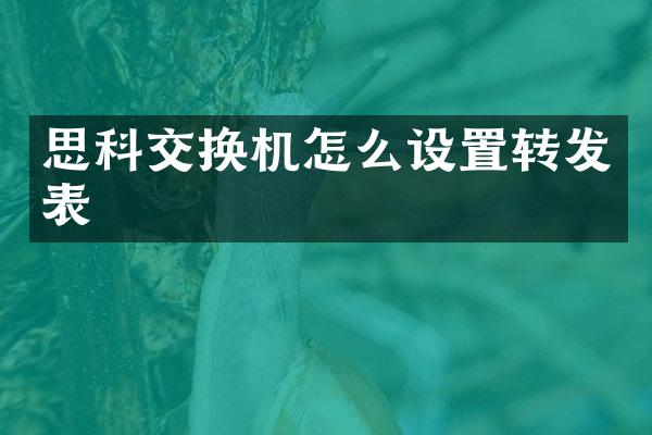 思科交换机怎么设置转发表
