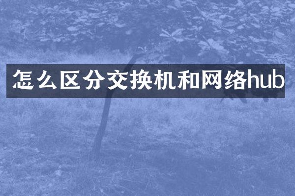怎么区分交换机和网络hub