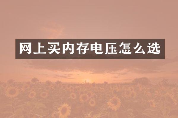 网上买内存电压怎么选
