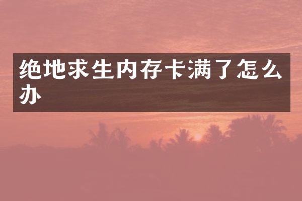 绝地求生内存卡满了怎么办