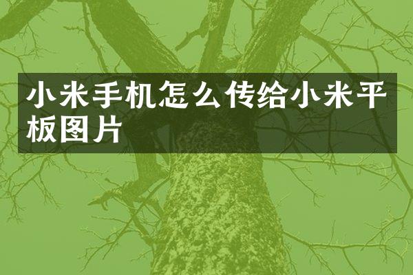 小米手机怎么传给小米平板图片