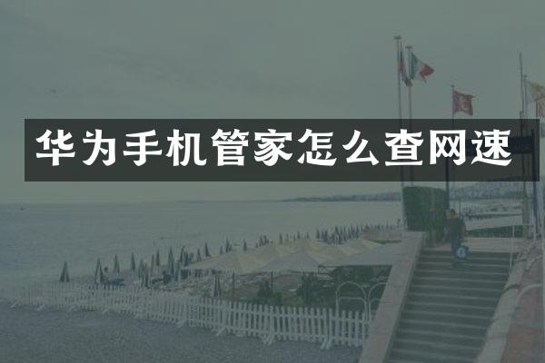 华为手机管家怎么查网速