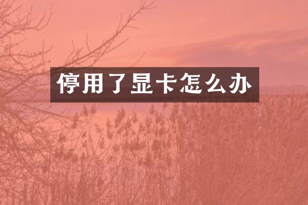 停用了显卡怎么办