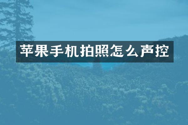 苹果手机拍照怎么声控