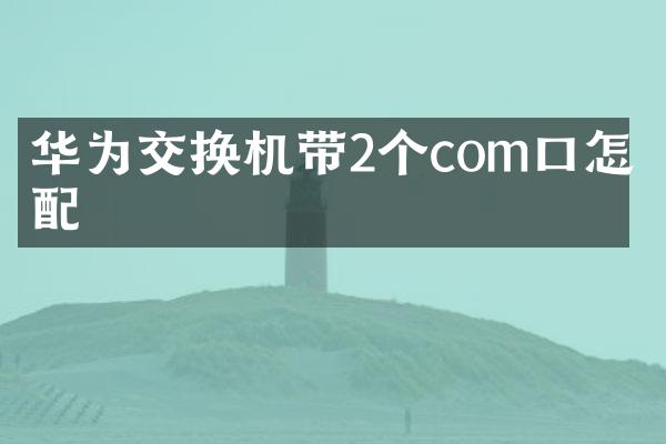 华为交换机带2个com口怎么配