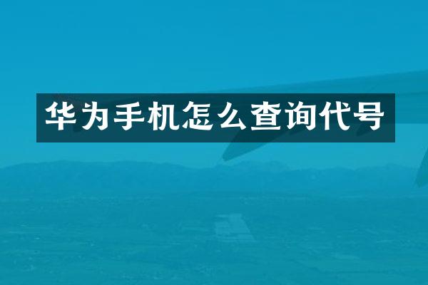 华为手机怎么查询代号