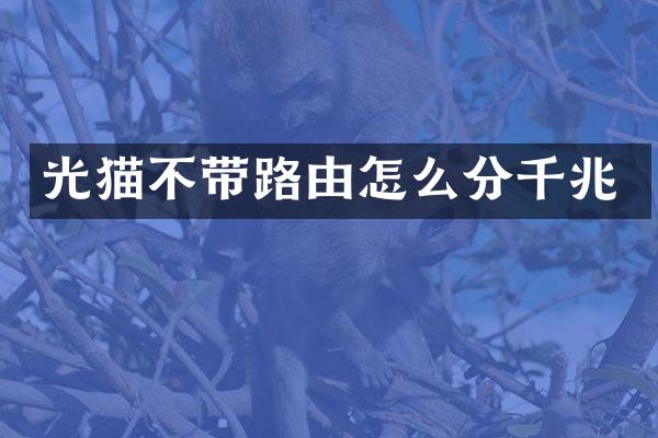 光猫不带路由怎么分千兆