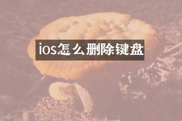 ios怎么删除键盘