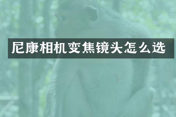 尼康相机变焦镜头怎么选