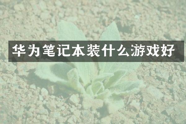 华为笔记本装什么游戏好