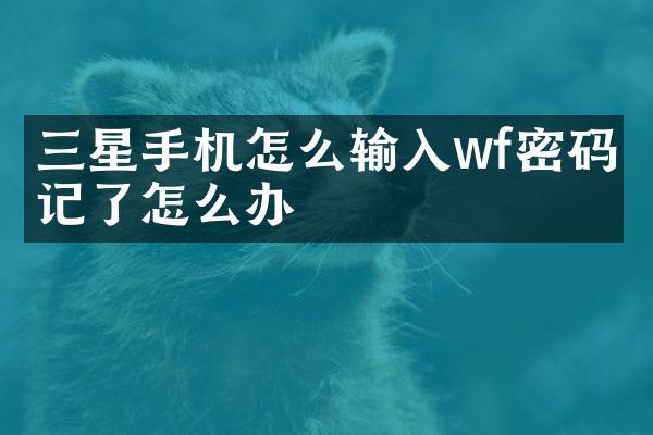 三星手机怎么输入wf密码忘记了怎么办