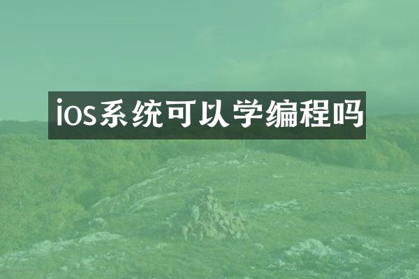 ios系统可以学编程吗