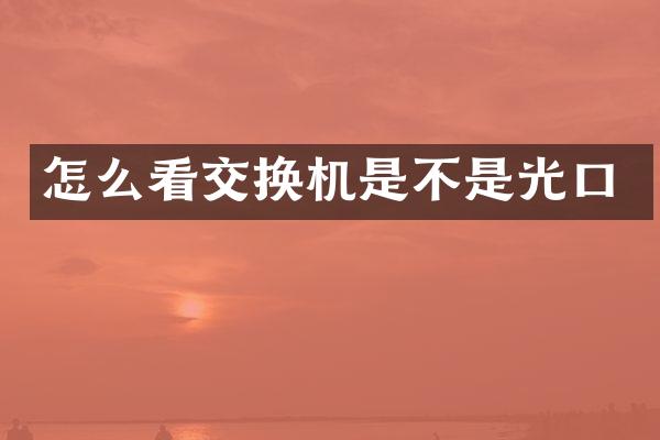 怎么看交换机是不是光口