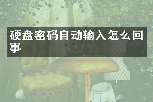 硬盘密码自动输入怎么回事