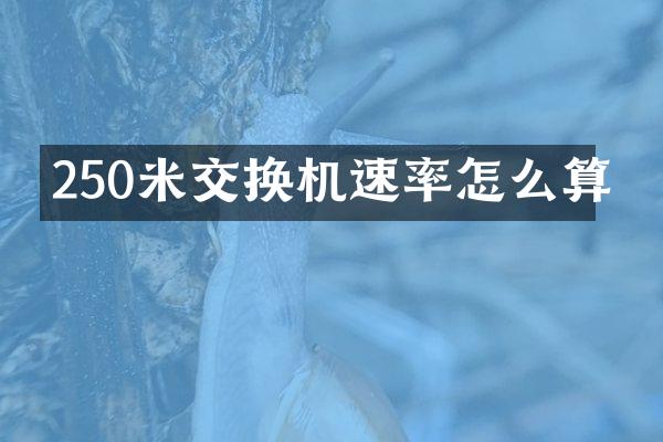 250米交换机速率怎么算
