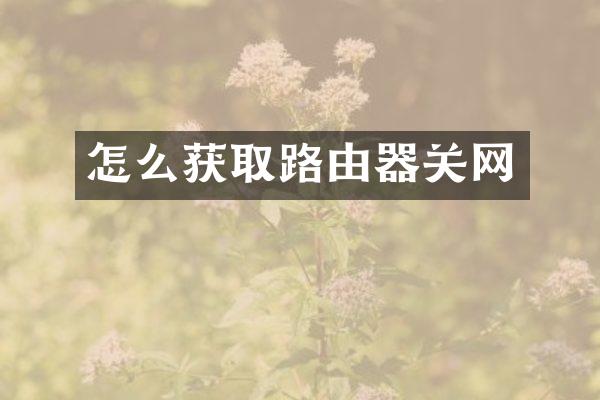 怎么获取路由器关网