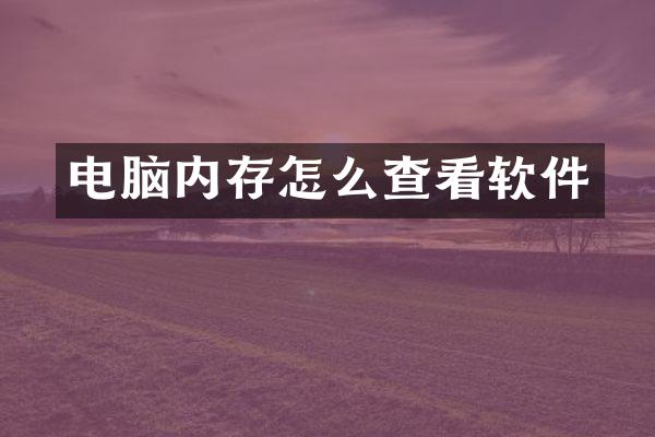 电脑内存怎么查看软件