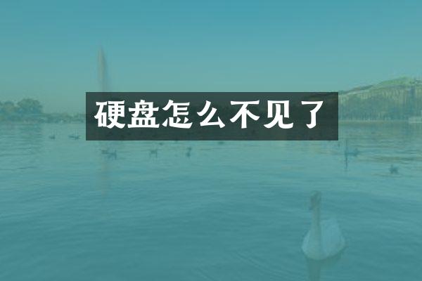 硬盘怎么不见了