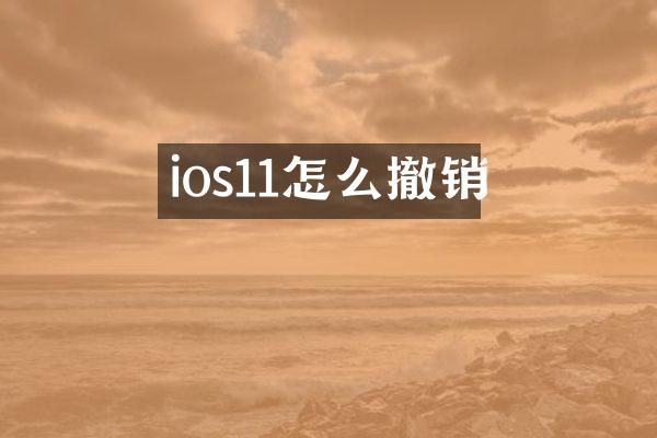ios11怎么撤销