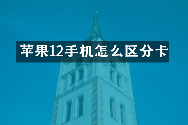 苹果12手机怎么区分卡