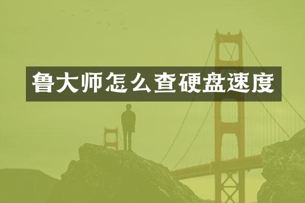 鲁大师怎么查硬盘速度