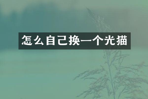 怎么自己换一个光猫