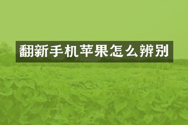 翻新手机苹果怎么辨别