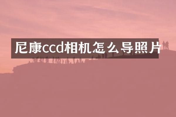 尼康ccd相机怎么导照片
