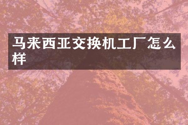 马来西亚交换机工厂怎么样