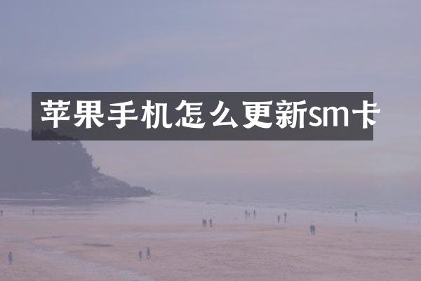 苹果手机怎么更新sm卡