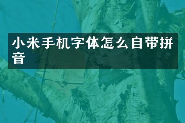 小米手机字体怎么自带拼音