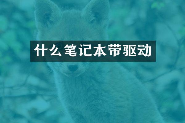 什么笔记本带驱动